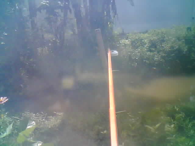 Tangkapan Kamera - 1 April 2026